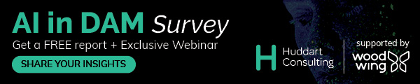 AI in DAM survey